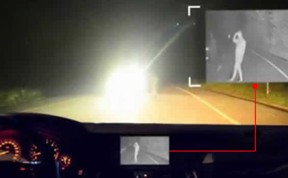 Thermal imaging camera for cars