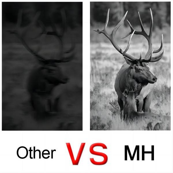 MH Digital Night Vision: Illuminating the Nocturnal World in Vivid Detail