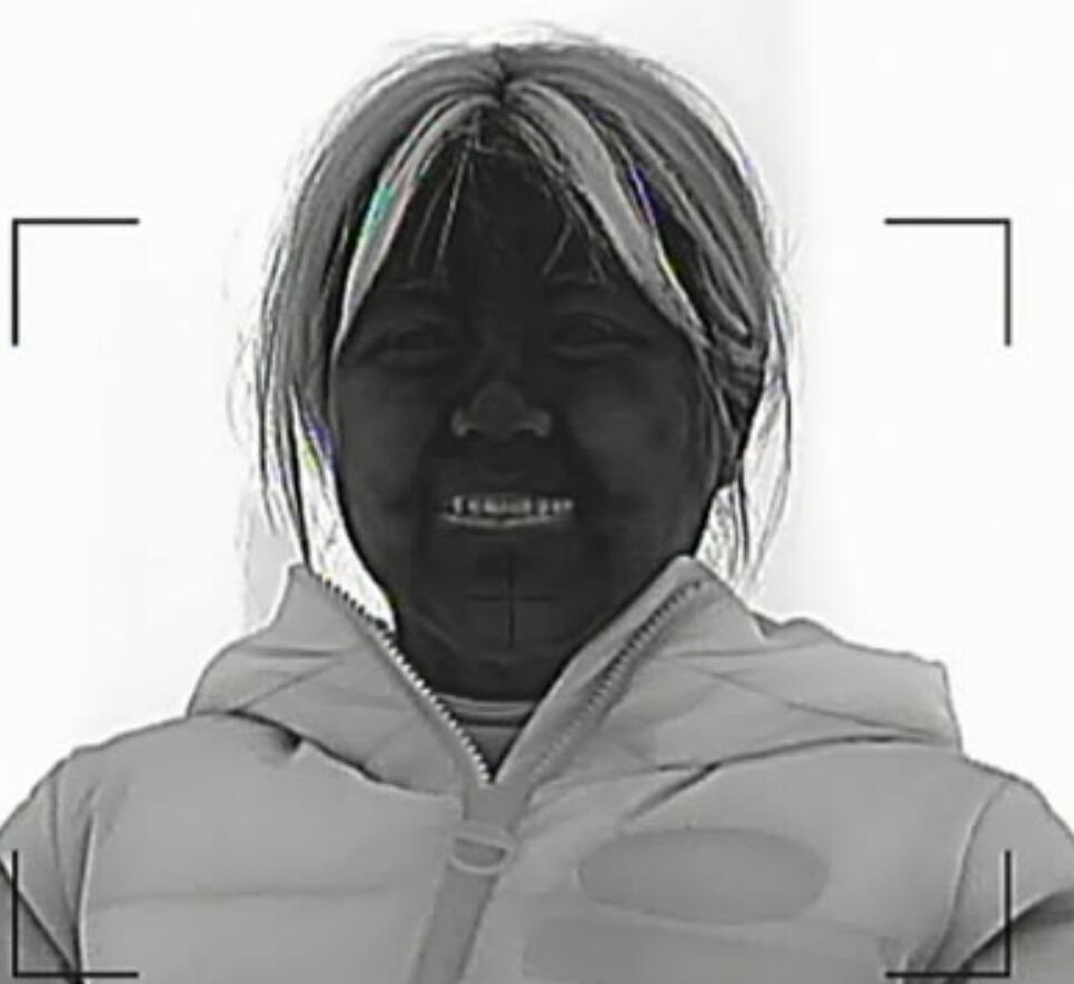 thermal camera core image