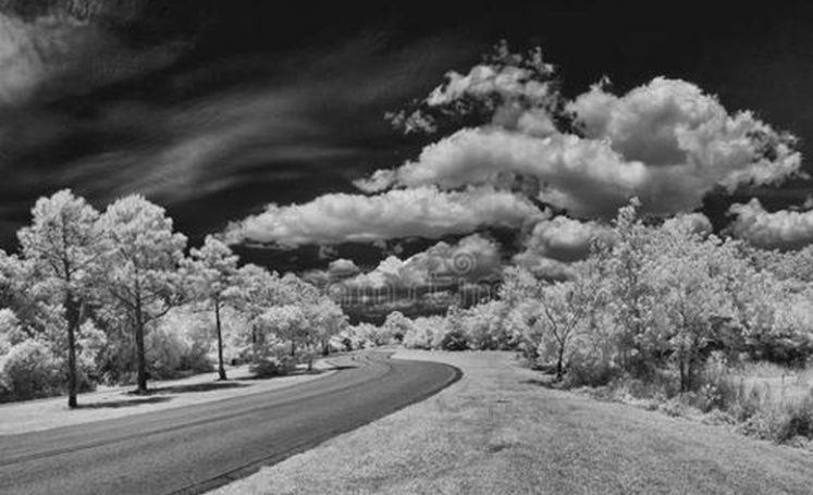 thermal imaging