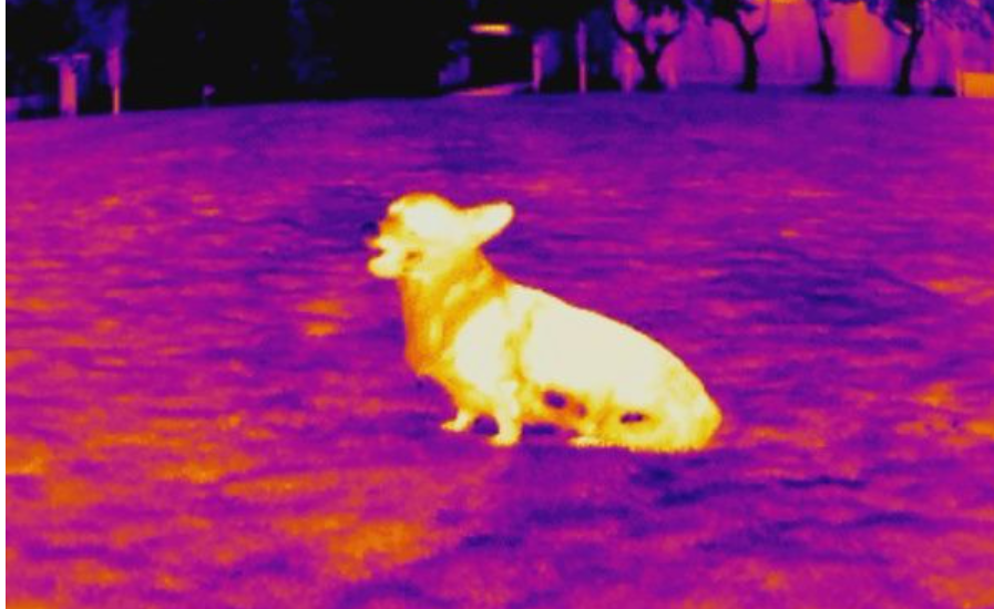 thermal imaging