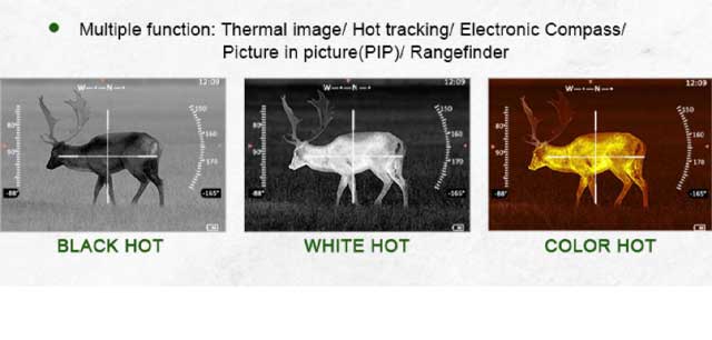 thermal image