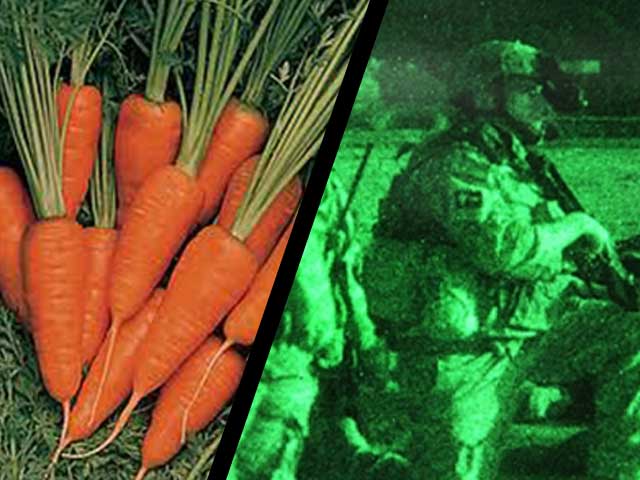 If you eat all your carrots, you'll be able to see in the dark?