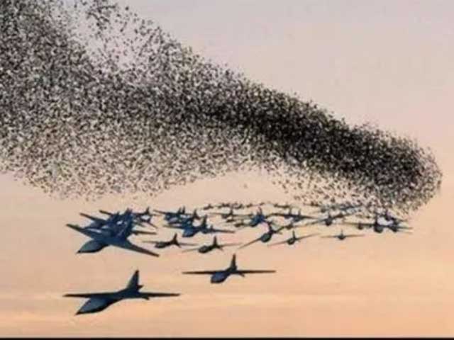 anti-drone system