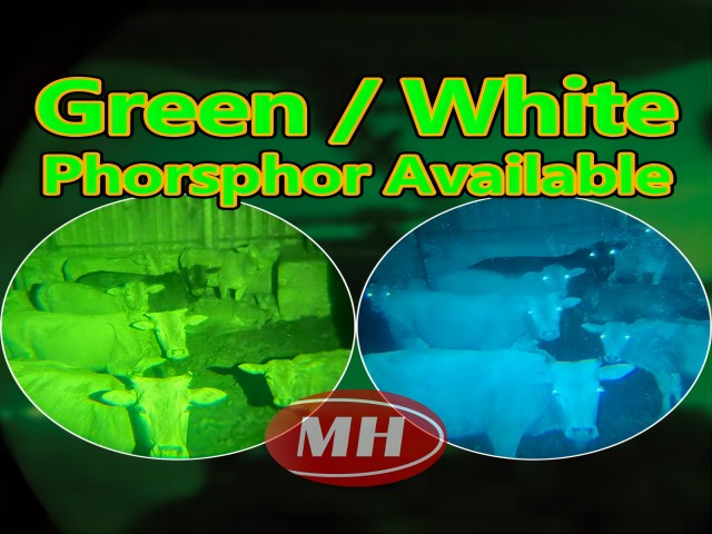 Green white phorsphor