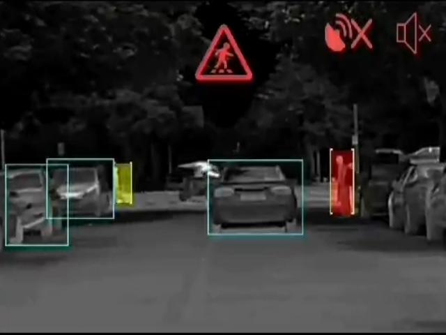 identify pedestrian and animals