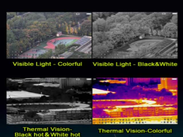 Visible light black white color